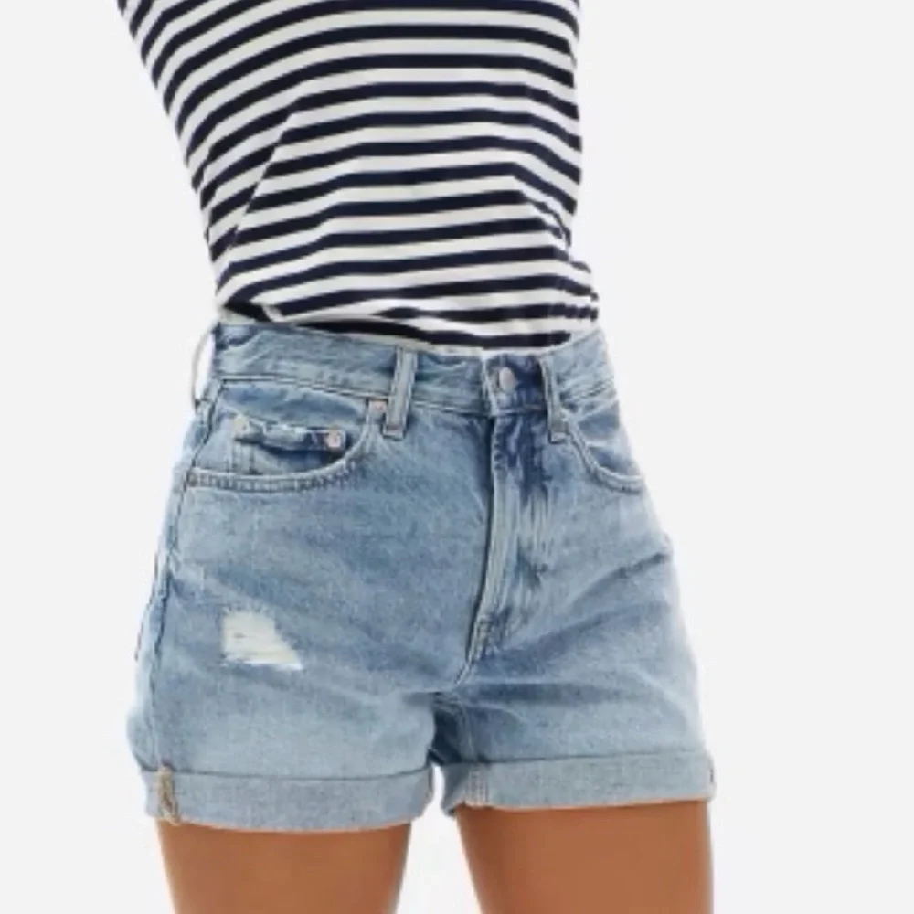 Everlane The Denim Short Distressed
